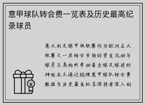 意甲球队转会费一览表及历史最高纪录球员